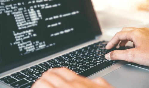 重點大學計算機專業學生，考研還是就業？